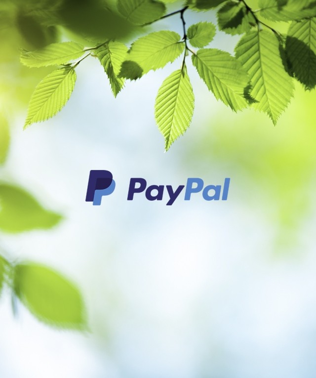 paypal logo with leaves background