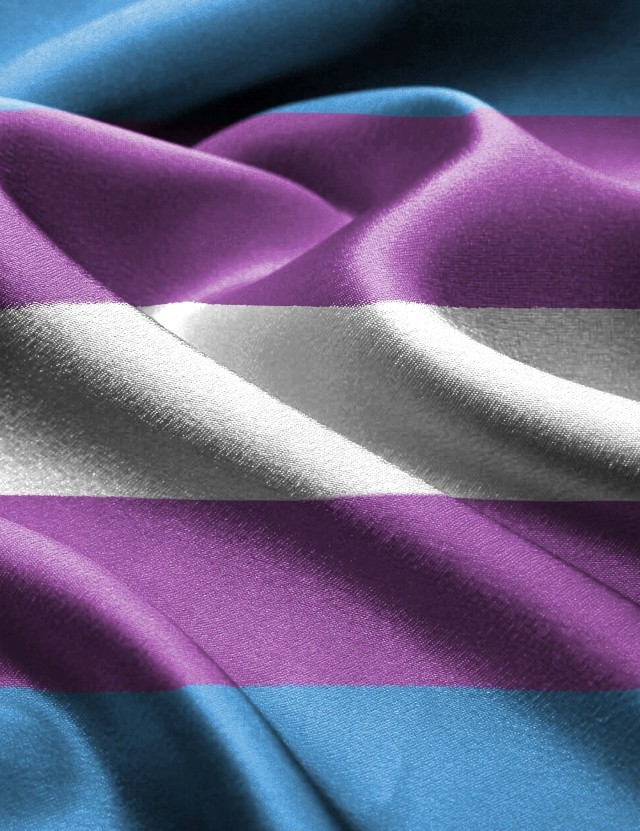 Transgender awareness week flag